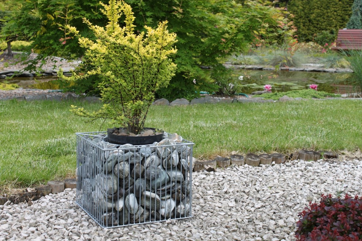gabionový kvetináč gb4 v modernej záhradke